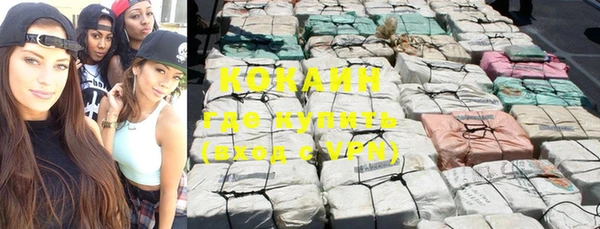 тгк Абаза