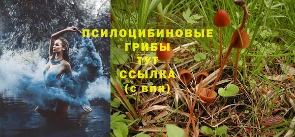 тгк Абаза