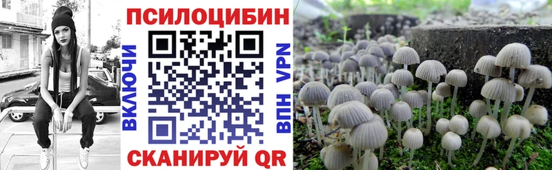 Галлюциногенные грибы Magic Shrooms магазин продажи Касли